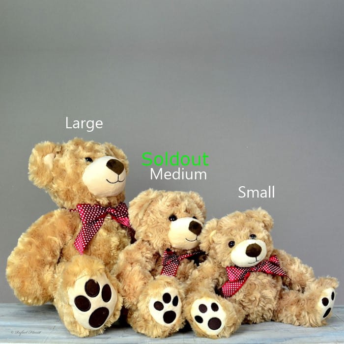 MD - Teddy Bears