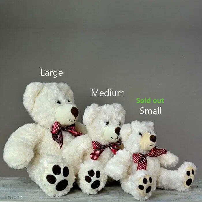 MD - Teddy Bears