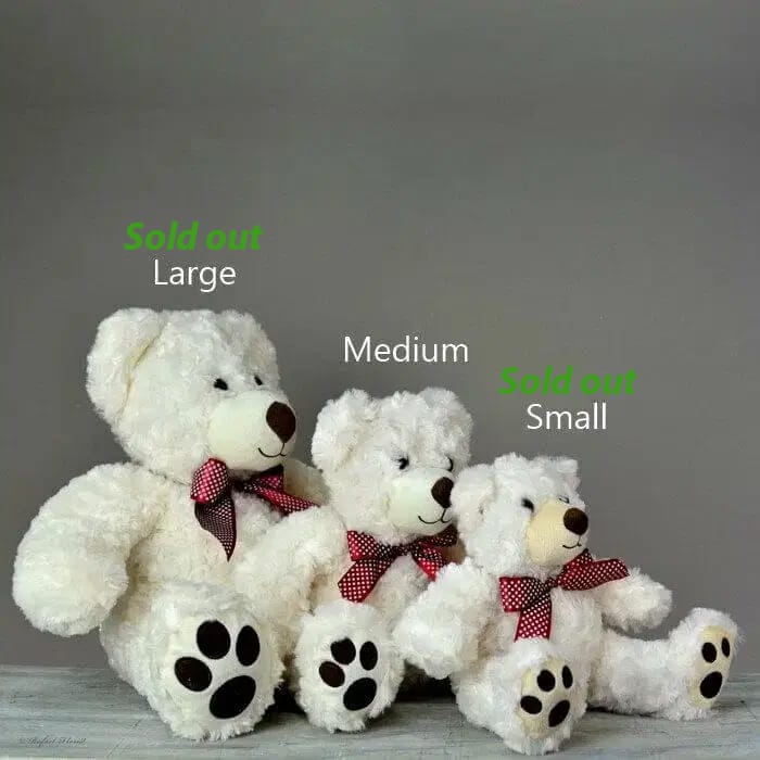Theodore Teddy Bear