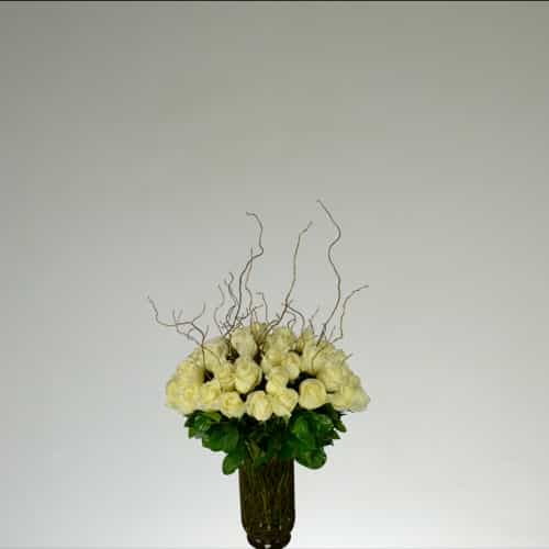 Rafe Roses Roses – Rafael Florist