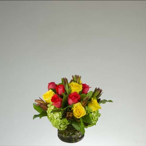 Rafe Roses Best Sellers – Rafael Florist