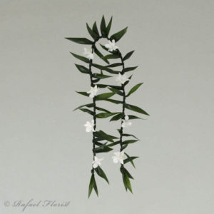 09455976 orchid and ti leave lei - Ti Leaf Lei With Orchids For Men - L10