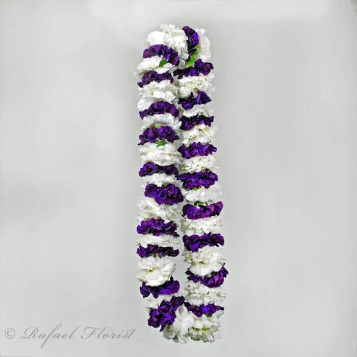 Beautiful Lei Of Carnations In White And Purple Colors For Graduations And Celebrations