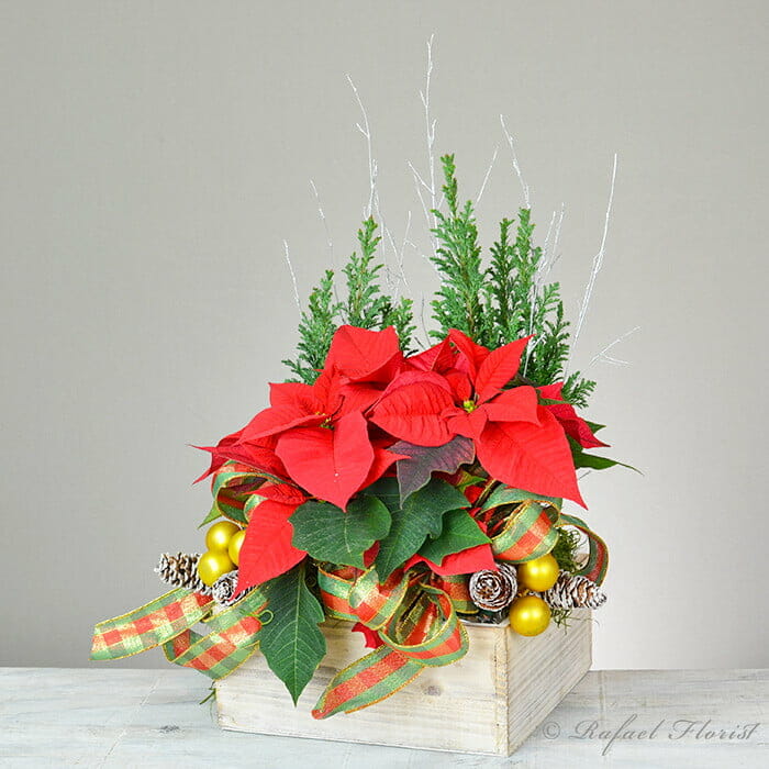 Winter wonderland - P39