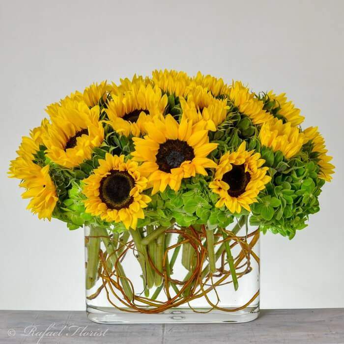 Happy Sunflowers - V76