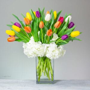 colorful tulips in glass vase - Love Story - V61