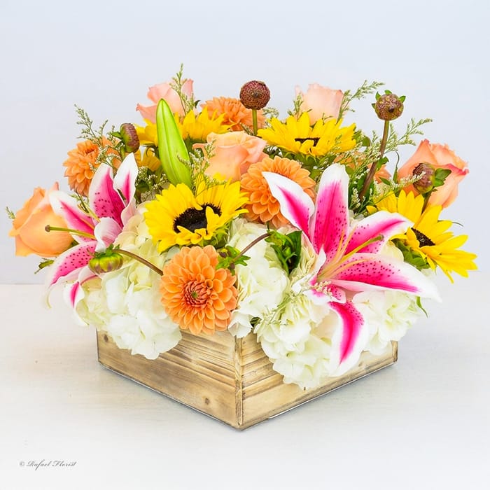 Fragrant Dahlia Centerpiece - B48