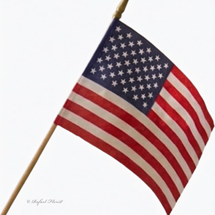 Stars, Stripes & Blooms - B136