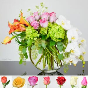 Orchid contemporary floral arrangement - Color Dance - V45