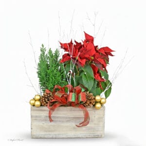 Poinsetia Euro tree gold ornaments - Winter wonderland - P39