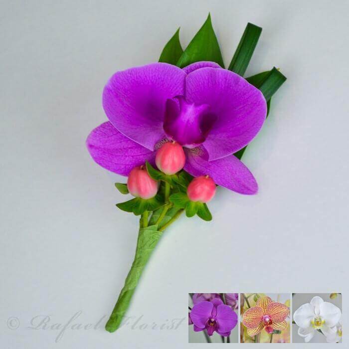 Orchid Celebration Boutonniere - BO10