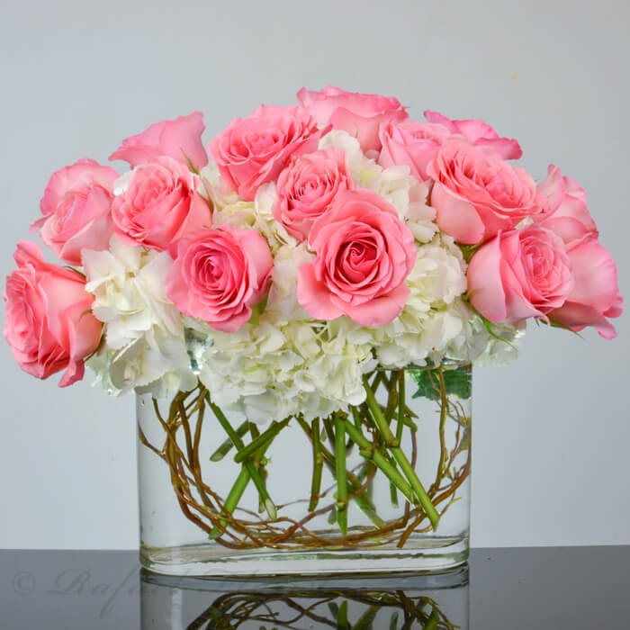 Graceful Beauty - R24