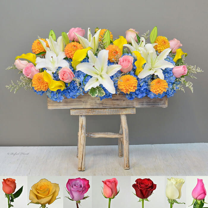 Dahlia Garden - B39