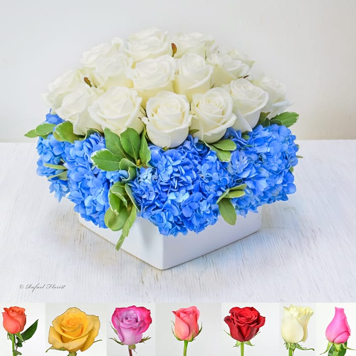 Blue Grace - B56