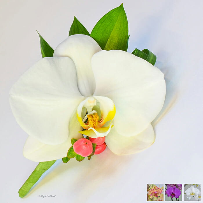 Orchid Celebration Boutonniere - BO10