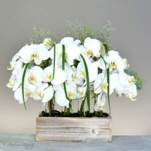 orchid floral arrangement
