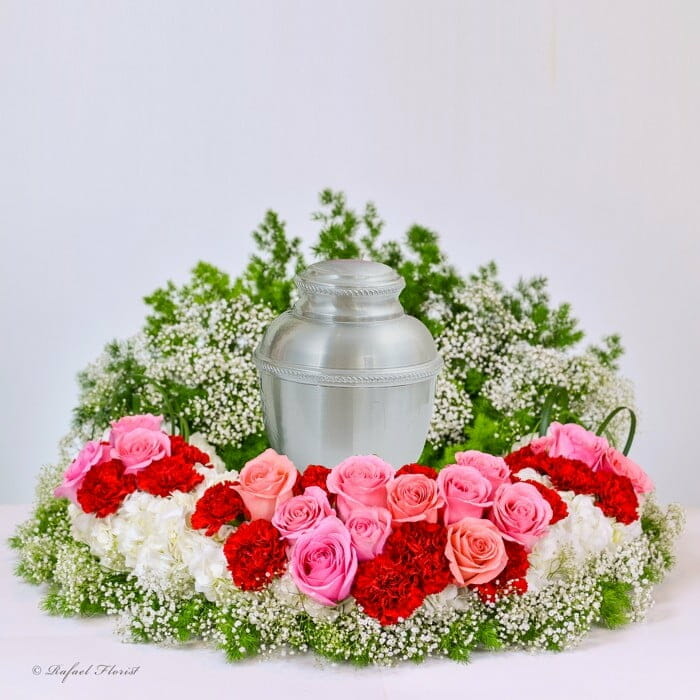 Beautiful life celebration - CR3