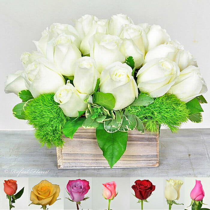 Simply Elegant Roses - B59