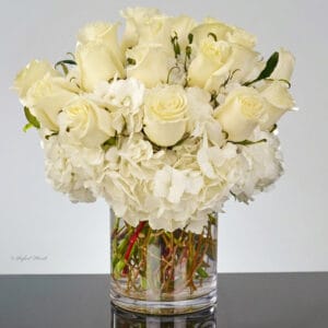 white rose hydrangeas in glass cylinder vase - Tender Hug - V46