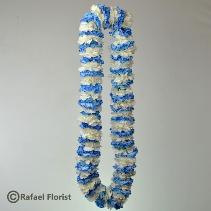 blue and white carnation lei
