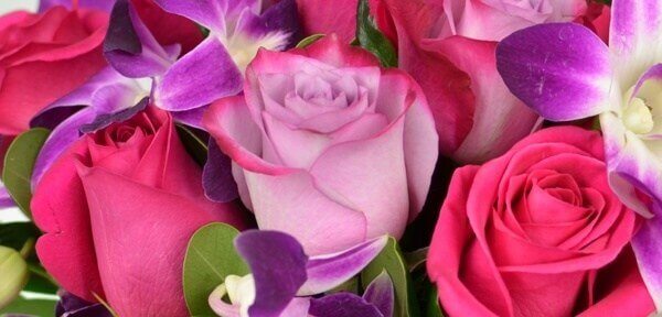 8b4c6a0e seasonal flowes for winter spring - Our Flower Selections
