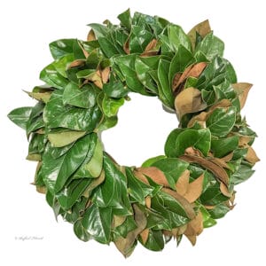 Magnolia Wreath - Magnolia Wreath - W20