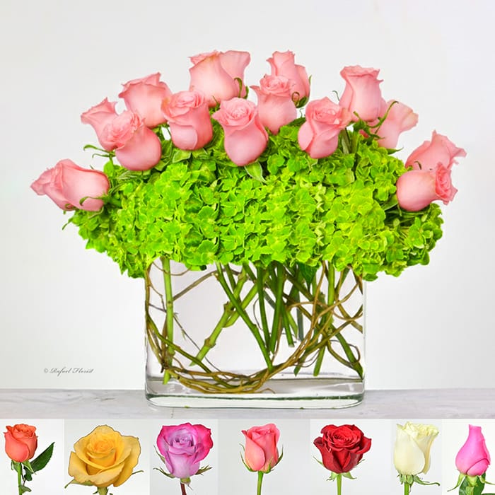 Rose Symphony - R12