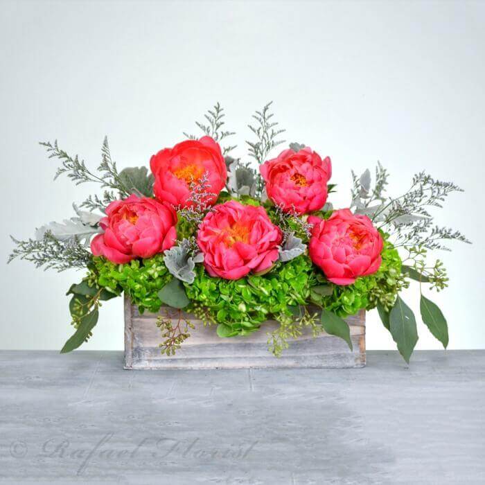 Peony garden - B58
