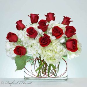 e1230b10 dozen red roses white hydrangeas modern design clear vase - Sweetheart Of Mine - R22