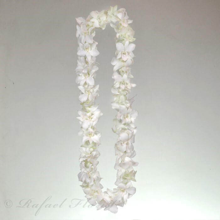 White Dendrobium Orchid Lei For Graduations And Congratulations