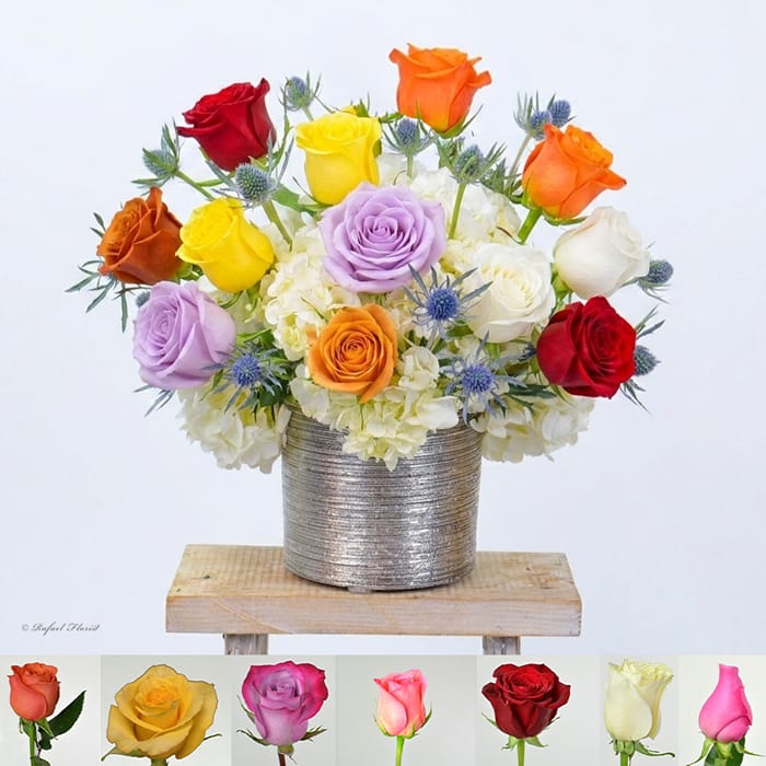 Rose Delight - B84