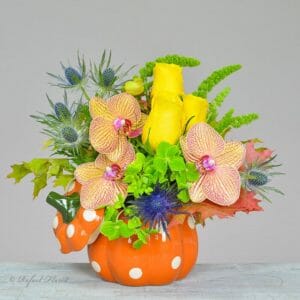 ceramic pumpkin flower arrangement - Pumpkin Patch - B32
