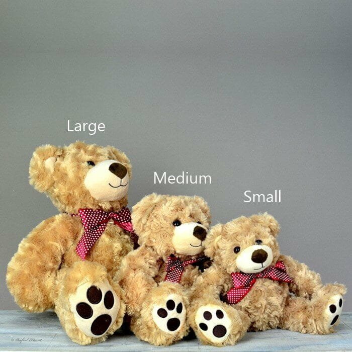 small teddy bear