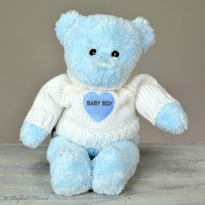 Blue Plush - New baby boy