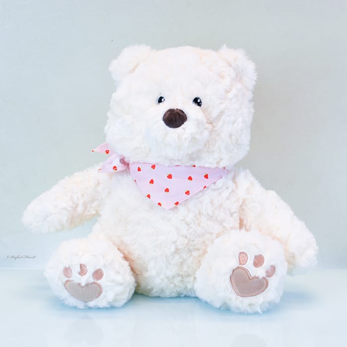 Honey Bear
