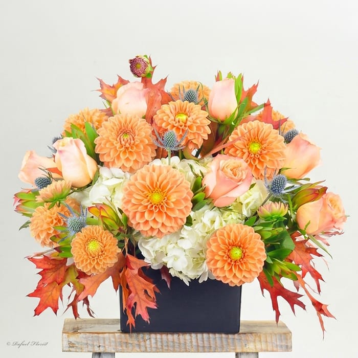 Country Blooms - B100