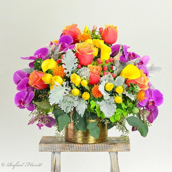 Vibrant Smile - B101