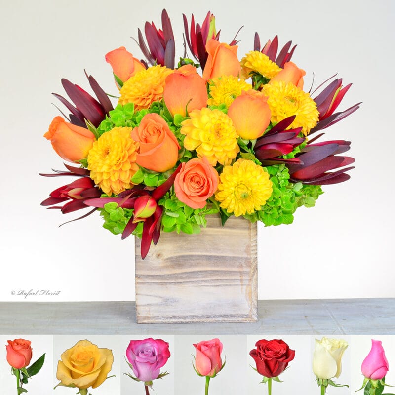 Fiery Dahlias and Roses - B98