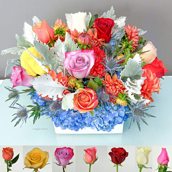 Sweet Summer Dahlias - B104