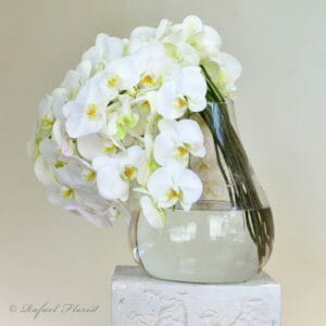 white phalaenopsis orchids in glass vase - Butterfly Elegance - V81