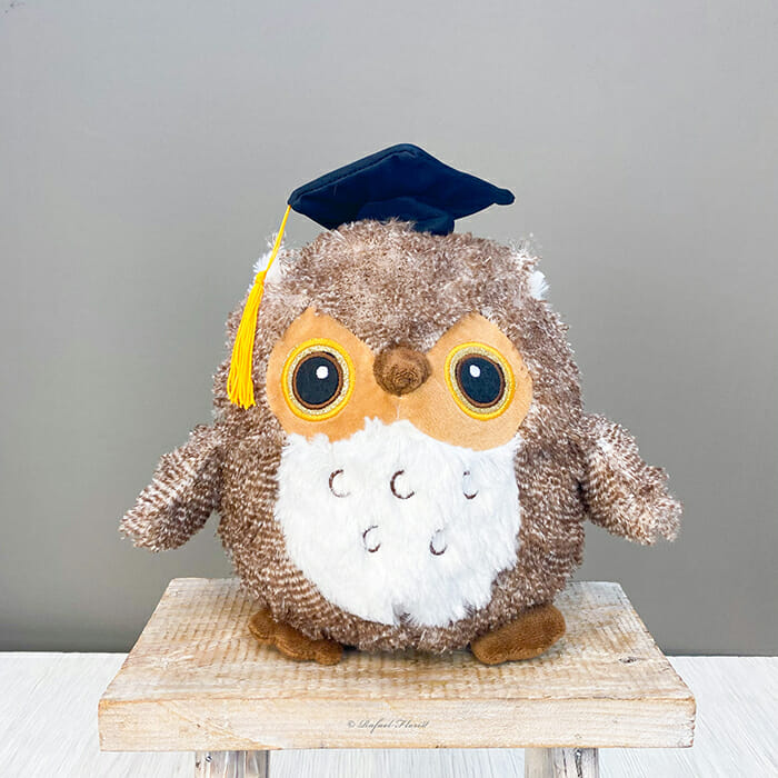 Professor Owl