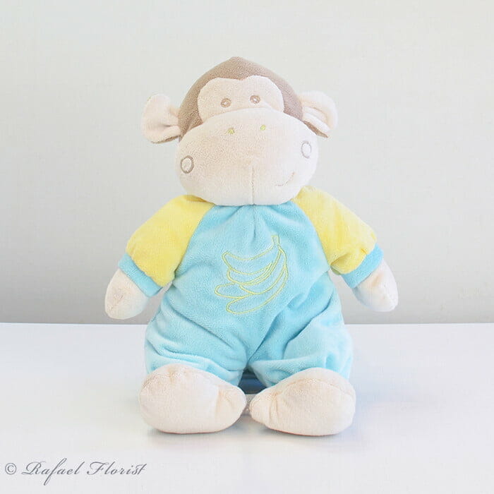 Baby Monkey