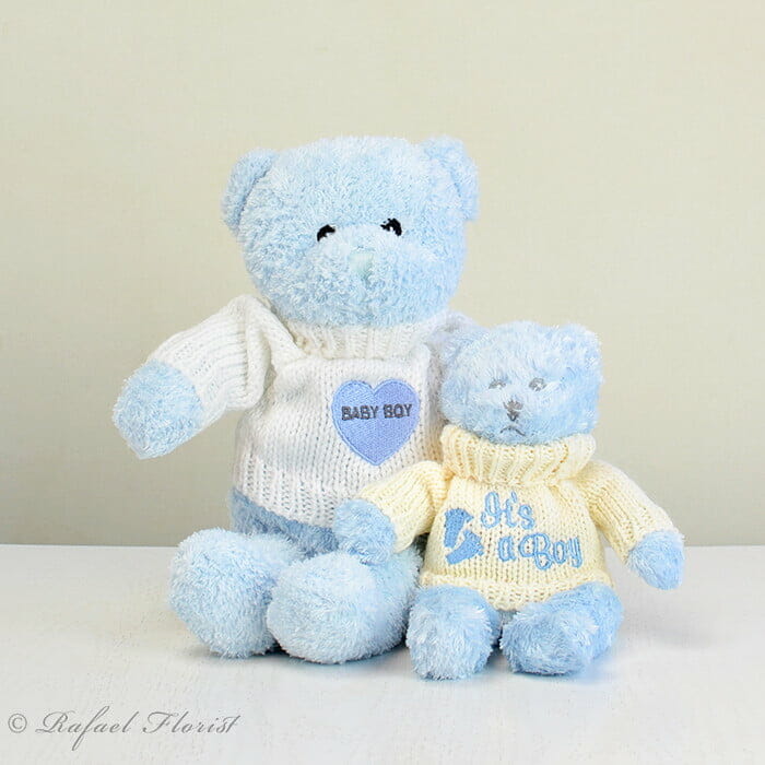 Blue Plush - New baby boy