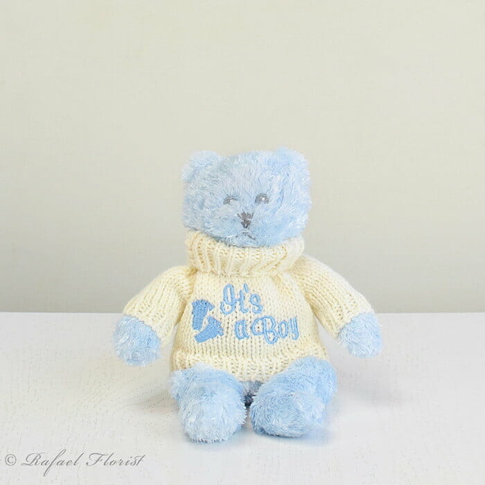 Blue Plush - New baby boy