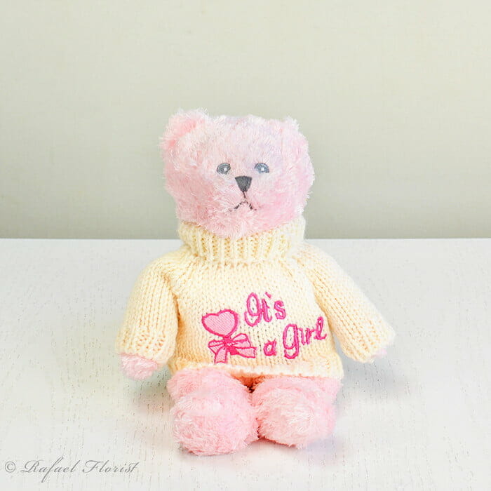 Pink Plush - New baby girl