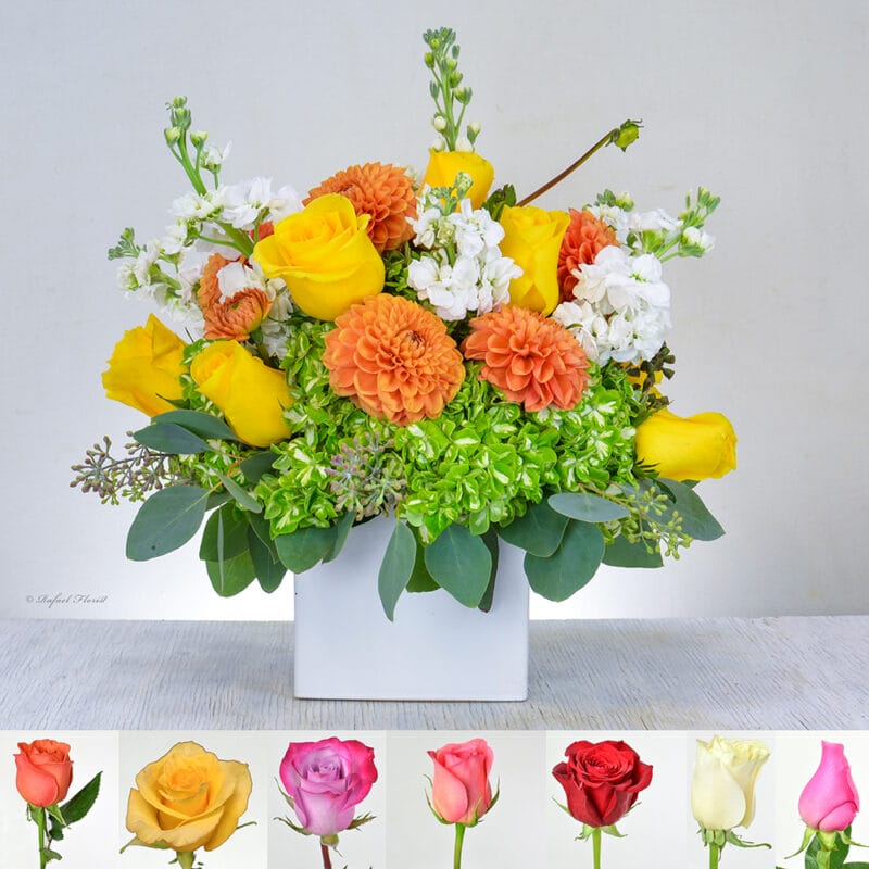 Lovely Dahlias - B118
