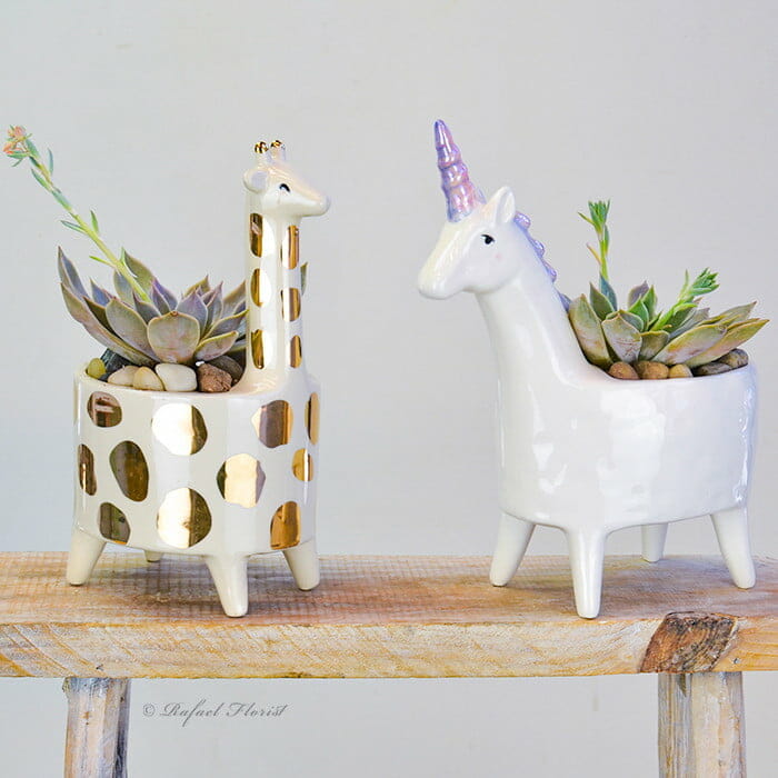 Joyful Gardens - P22