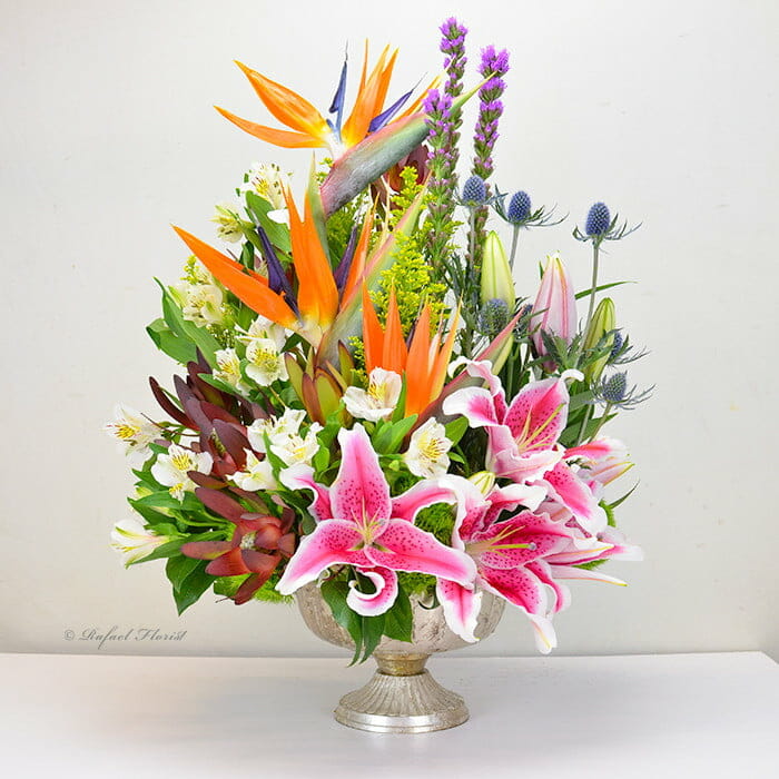 Tropical Celebration - B68