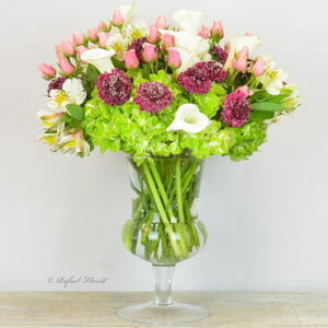 Urn glass vase scabiosa calla lilies - Amazing Calla Lilies - V59