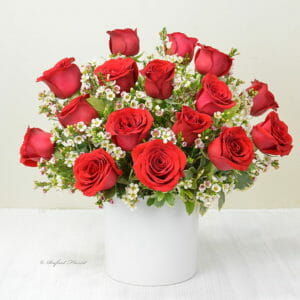 valentine roses white pot - V17 - Blissful Love